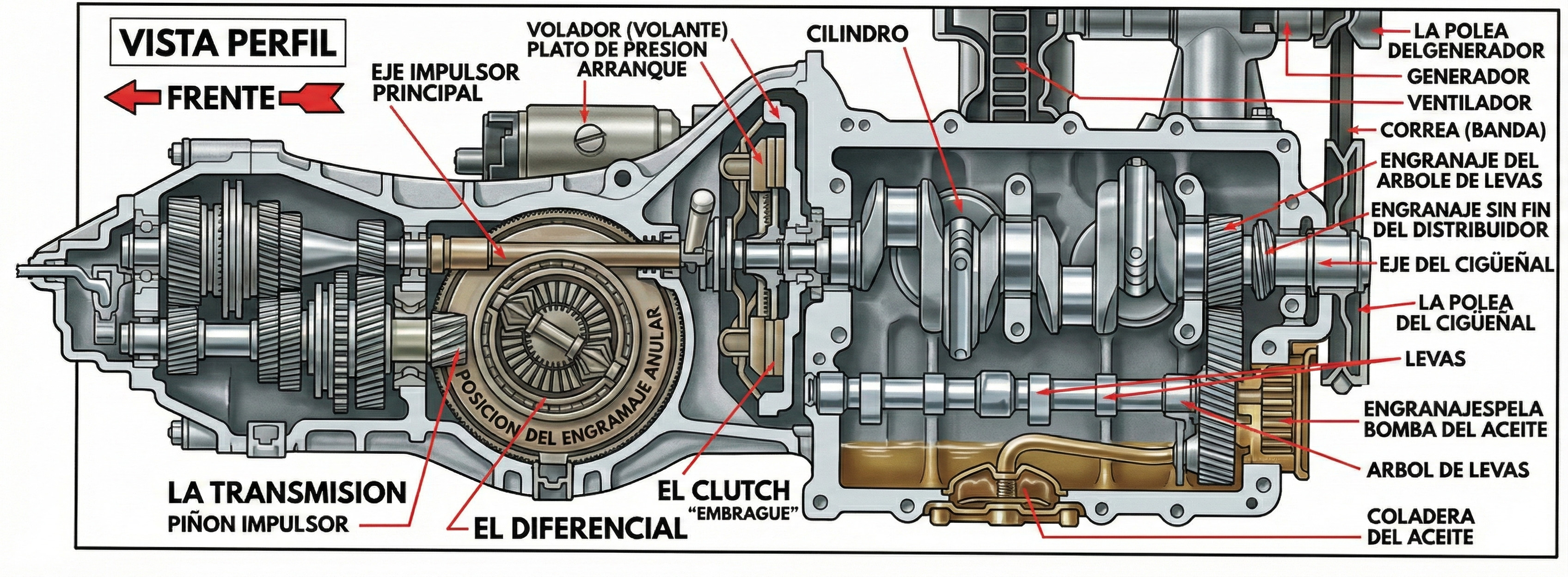 Vista perfil del motor VW